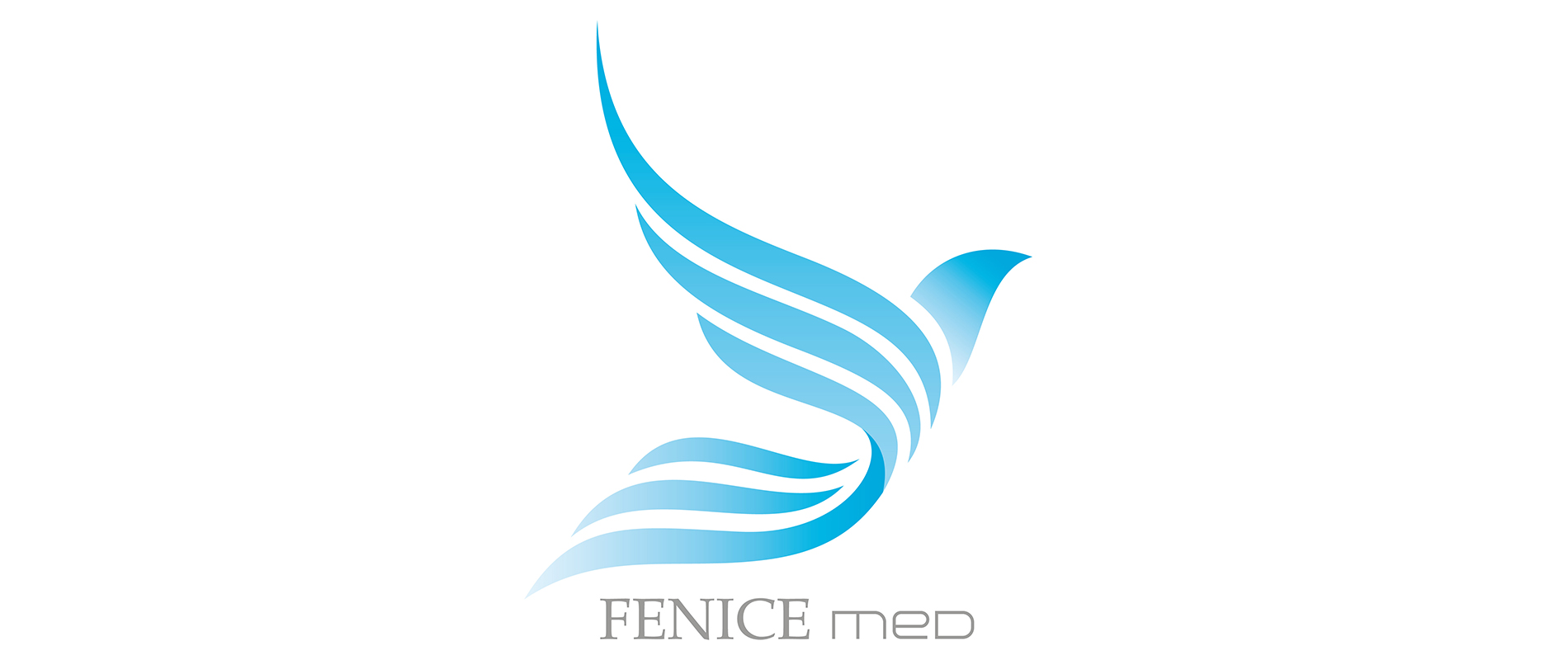 Fenice Med